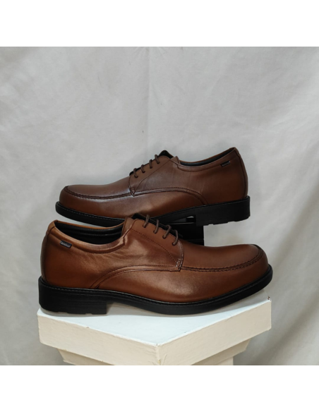 ZAPATO BLUCHER